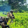 Ej&eacute;rcito destruye m&aacute;s de 60.000 plantas de coca en Sucumb&iacute;os
