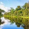 Ecuador reconoce el corredor ecol&oacute;gico Yasun&iacute;-Limoncocha-Cuyabeno en la Amazon&iacute;a