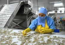 China suspende a siete procesadoras de camarón ecuatoriano