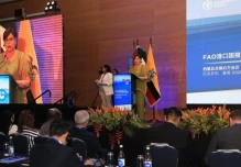 108 países evalúan en Ecuador el mayor tratado contra pesca ilegal 
