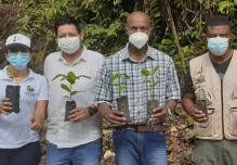 340 habitantes de Napo participaron en la minga de reforestación
