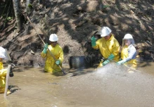 Petroecuador crea 913 empleos verdes y avanza en la recuperación ambiental