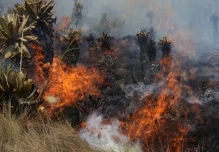 Loja: Un incendio forestal consume 1.174 hectáreas en 5 días