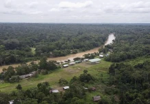 El Parque Nacional Yasuní alberga 458 especies de peces