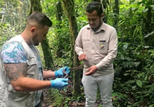 Dos boas son rescatadas y reinsertadas en el Parque Nacional Sangay