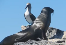 Galápagos busca destacarse como una de las mejores Áreas Protegidas del mundo