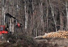 La Comisión Europea propone prorrogar la ley contra la deforestación