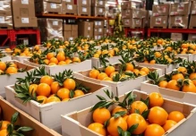 Ecuador refuerza presencia en bananas y mandarinas en Uzbekistán