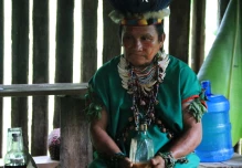 Temen por tribus amazónicas tras apertura de camino en Ecuador