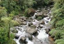 Ecuador amplió red de áreas para la conservación con la Reserva Drácula