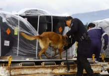 La Policía recibió cargamento de 4,5 millones de municiones