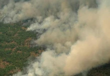 La Amazonía está en riesgo de colapso climático para 2050