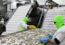 El BCE estimó que la cifra de crecimiento del 2019 será negativa por el paro de octubre