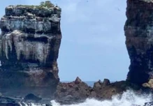 El Arco de Darwin, ícono de Galápagos, colapsó 