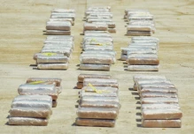 La Policía incautó 400 kilos de cocaína en un camión en Flavio Alfaro