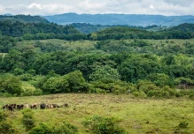 Sectores de la Amazonía colombiana piden espacio en el debate presidencial