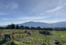 Inamhi advierte sobre riesgo de incendios