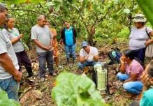 Napo: Productores de cacao en Pano fueron capacitados
