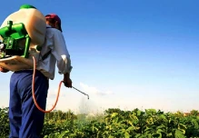 En Ecuador buscan reducir el uso de plaguicidas obsoletos en la agricultura