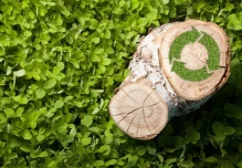 Dendroenergía como potencial energético en el sector agrícola del Ecuador