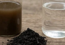 IIGE impulsa proyecto para convertir desechos orgánicos en biocarbón