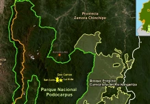 Unos 4.500 mineros ilegales operan en el Parque Nacional Podocarpus