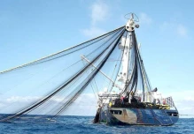 Capturan cuatro embarcaciones peruanas dentro de los límites del mar territorial 