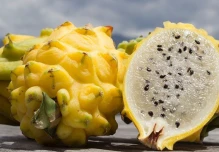 ¿Cuáles son los beneficios de la pitahaya?