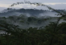 Proyecto KBA identifica 125 áreas clave para su conservación en Ecuador
