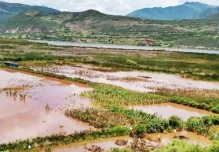 Lluvias intensas en Ecuador dejan pérdidas millonarias en el sector agrícola 