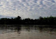 La Amazonía perdió 2,3 millones de hectáreas en 2020, su tercer peor registro