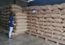 El boom del cacao ha atraído la atención del crimen organizado