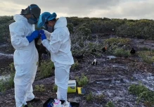 Autoridades evalúan reapertura al turismo de Isla Genovesa