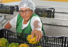 Productos amazónicos tienen potencial de crecimiento por el acuerdo comercial con China