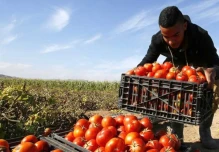Israel y EE.UU. lideraron las plazas de migración circular en 2025