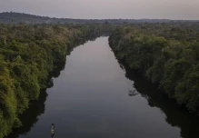 La superficie del agua decrece desde 2012 en la cuenca amazónica, según un estudio