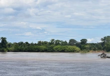 Alerta en Guaviare por propuesta de salir de la Amazonía