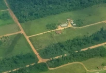 Amazonía de Perú pierde más bosque por expansión de colonias menonitas