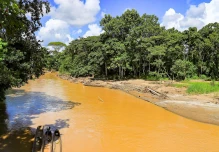 Un "alarmante" aumento de la minería en Napo es denunciado