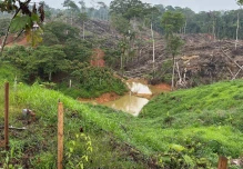 El Ejército propició golpes a la minería ilegal en la Amazonía 