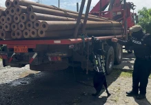 La Policía decomisó 4 toneladas de marihuana en Sucumbíos