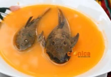 Caldo de Corroncho: Parte de la exquisita gastronomía Zamorana