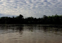 Ecuador recibió 3 premios por canje de deuda para conservar la Amazonía