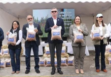 Nueva variedad de trigo promete elevar la producción nacional