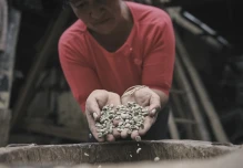 La UTPL creó una serie documental sobre el café de Loja