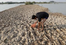 'El Niño' y 'La Niña' alteran el equilibrio de los ecosistemas marinos y la pesca 