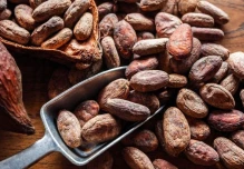 Cacao subió a $ 5.896 por renovada demanda