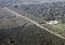 ITT se convirtió en el campo petrolero más productivo del país