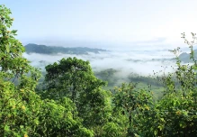Ecuador busca otro canje de deuda por naturaleza 