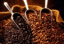 El café ecuatoriano se abre paso en el segmento "gourmet" en España